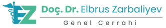 elbrus zarbaliyev logo 3